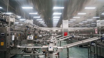 斥资2亿元 小龙坎在眉山建成中国首座全智能化底料生产工厂